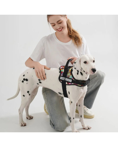 Pet Customizable Harness Vest For Small Medium Large Dog Classic Luxur