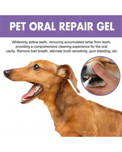 Pet Teeth Cleaning Tooth Whitening Pen Suitable For Dogs And Cats Remo