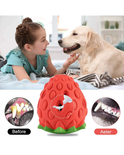 DualPet Dog Chew Toys Rubber Strawberry Shaped Food Leaking Toy Durabl