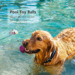 Bite Resistant Solid Dog Ball Toys for Small Large Dogs High Elasticit