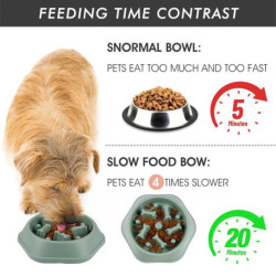 Slow Feeder Dog Bowl Anti-choking Slow Feeding Bowls for Dogs Anti-sli